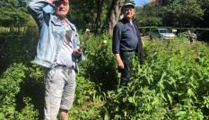 Twee mannen staan in een groene berm langs een straat in een woonwijk