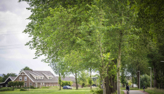 De Achterdijk, een weg in Bunnik