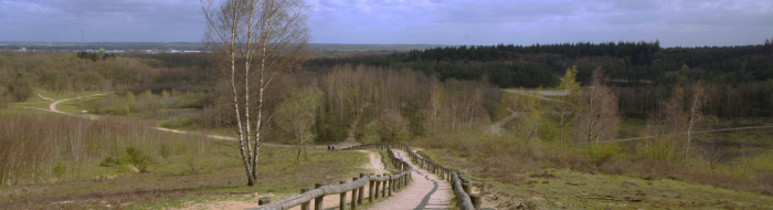 Aangelegde trap in de recreatiegebied Kwintelooijen