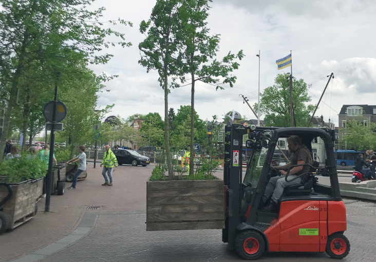 Rijdend Bos Leeuwarden, fotograaf Benthe Timmermans