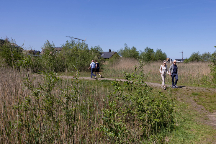 Twee stellen wandelaars in het groen nabij Veenendaal. 