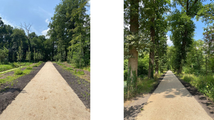 Twee wandelpaden in Overpark Over-Holland