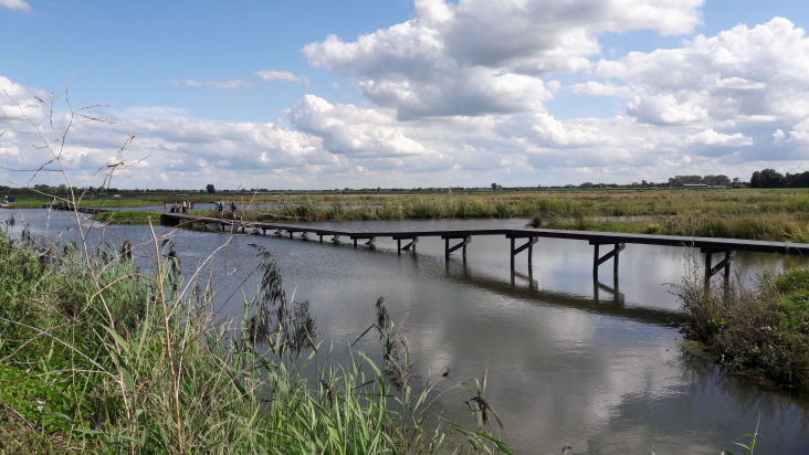 Wandelaars in Polder Blokhoven