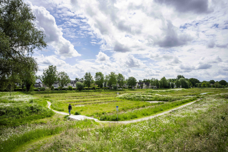 Een wandelaar in de Turweide in Veenendaal