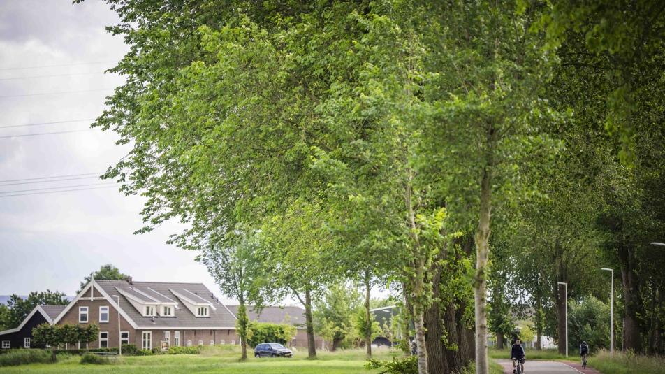 De Achterdijk, een weg in Bunnik